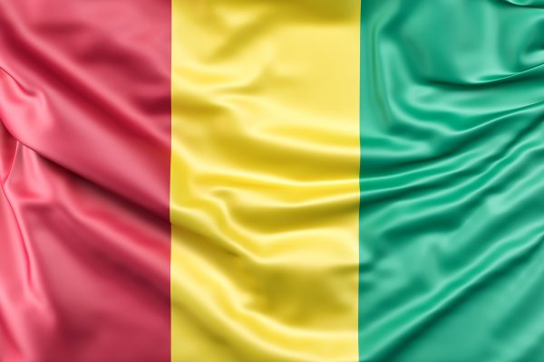 Drapeau de la Guinée-Conakry - Services de Visa Mondial Visas
